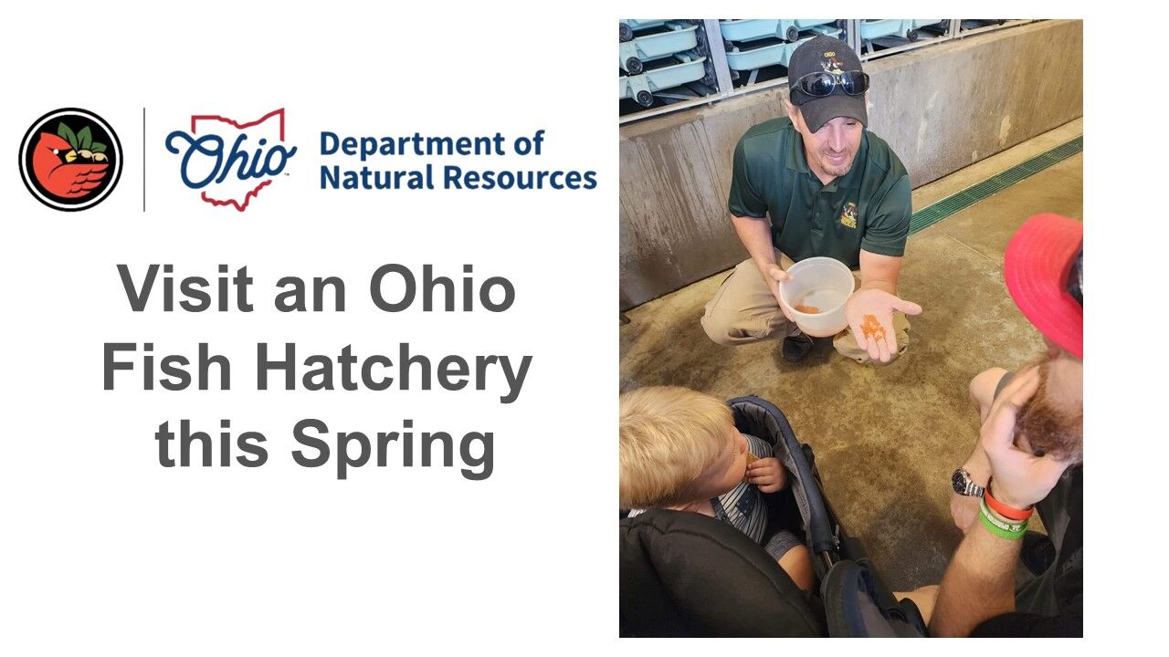 Open House at St. Marys State Fish Hatchery on Saturday, March 29th